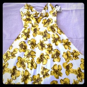 Milly dress. Flared skirt - tea length. Never worn